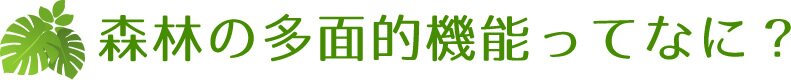 森林の多面的機能ってなに？