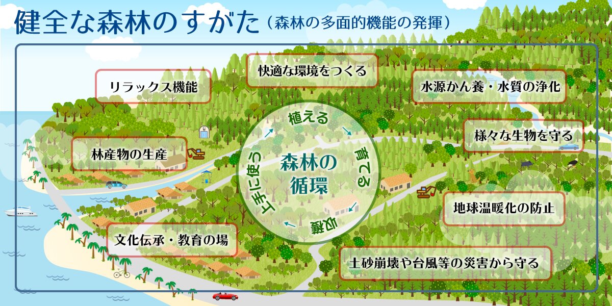 沖縄県における健全な森林のすがた（イメージ図）